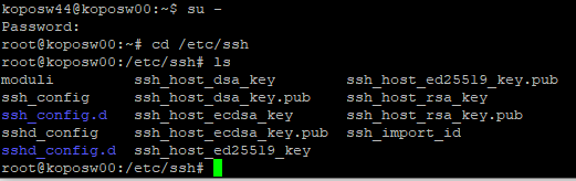 image-20220411104819619